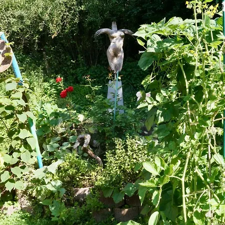 Gruene Oase Appartement *